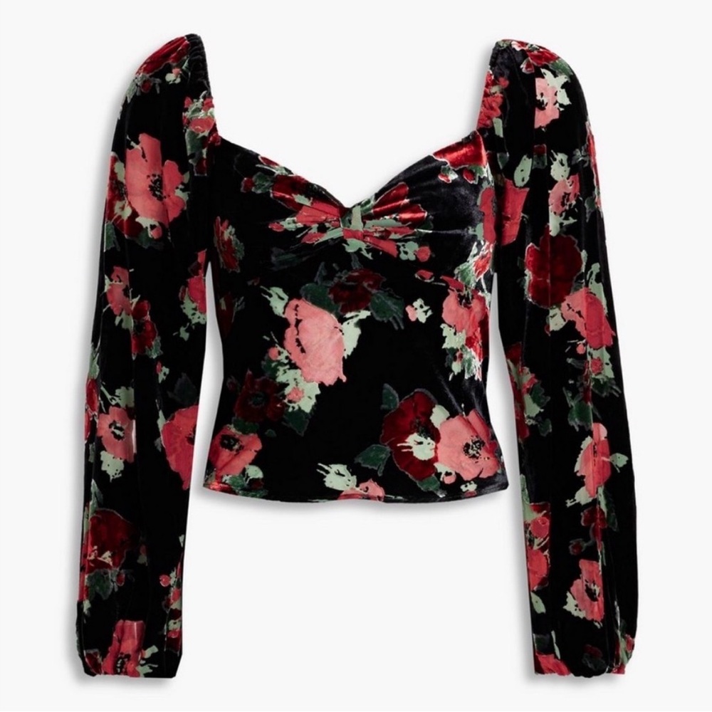 NWT Rixo Floral Velvet Women's Top
